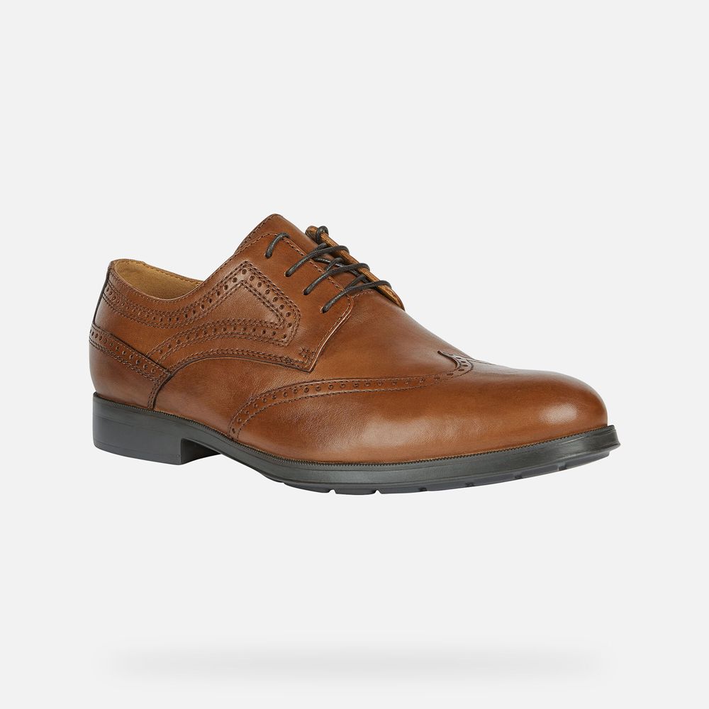 Sapatos Formais Geox Homem Marrom - Hilstone Wide - MKPBW3469